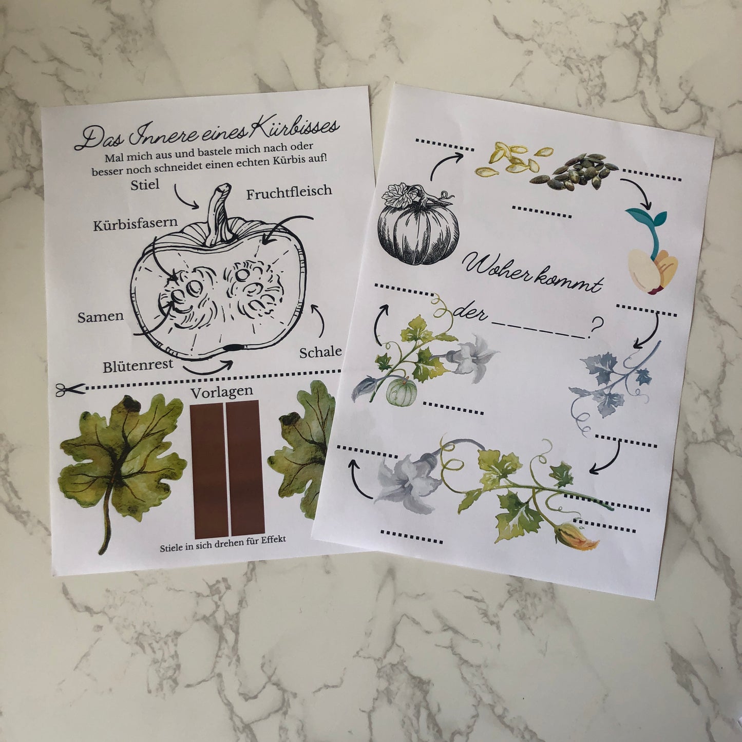 Herbst Bastelkiste für 2 Kinder | Die kleine Fetenkiste | Herbst Bastelbox mit Thema Kürbis basteln Montessori Stil