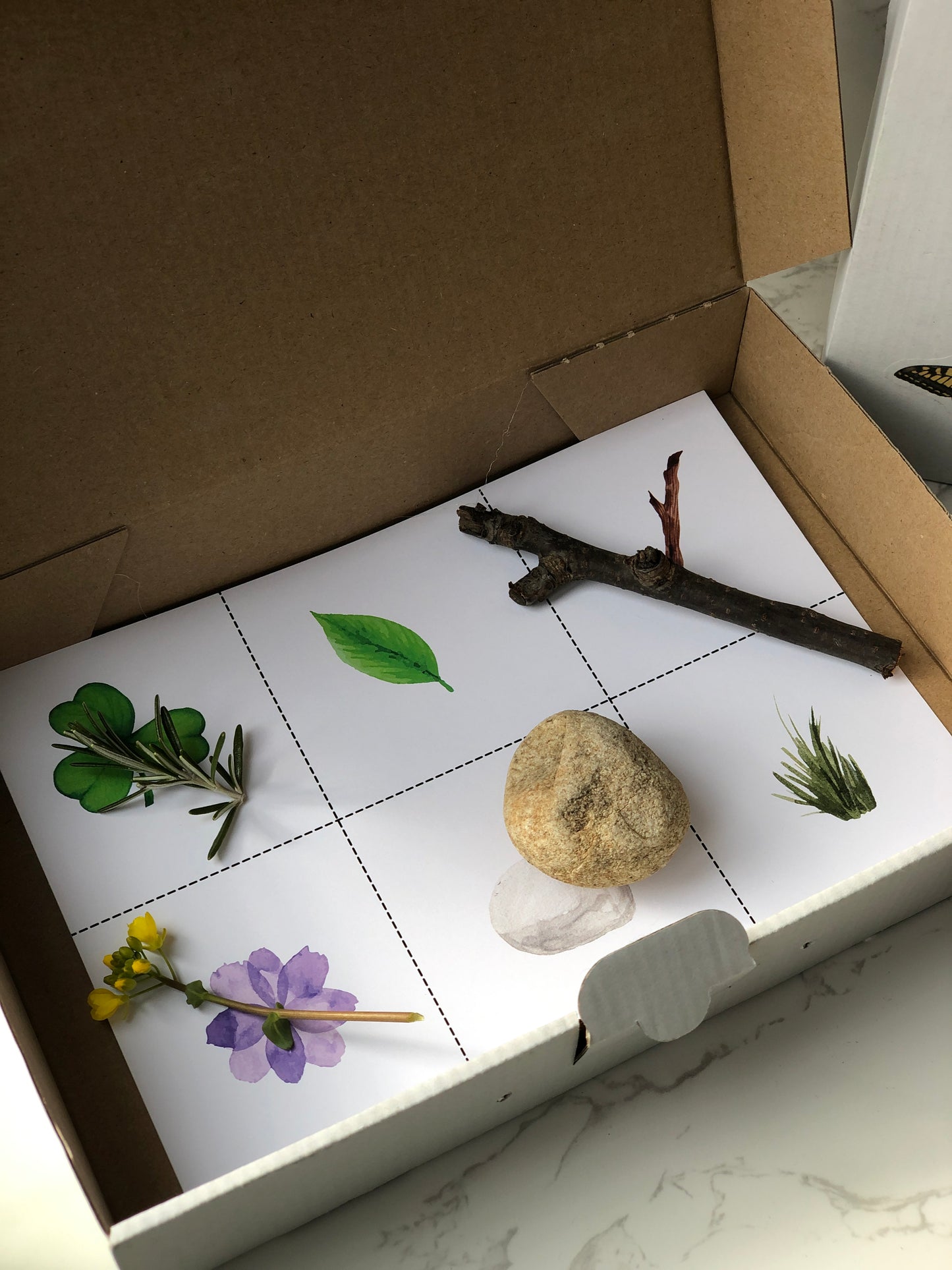 Naturforscher Kiste |Garten Köfferchen Mini Kiste DIY für Kinder | Die kleine Fetenkiste