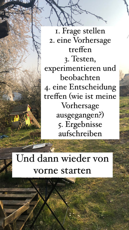 Naturforscher Kiste |Garten Köfferchen Mini Kiste DIY für Kinder | Die kleine Fetenkiste